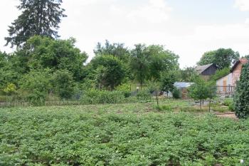 Pohled na místo tvrze od východu / až za záhonem brambor/ (© D Dohňanský, 06/2015)