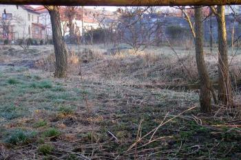 pravděpodobný zbytek východního příkopu tvrze ( © Ondřej Štěpánek 03/2007)