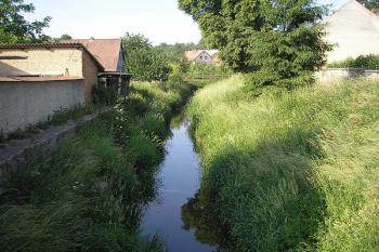 potok Olešnice pod kopcem, na kterém pravděpodobně tvrz stála ( © Ondřej Štěpánek 06/2006)