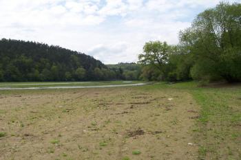 Plumlovská přehrada - Pohled na přední část nádrže před odbahněním (© Ivo Rozehnal, 05/2010)