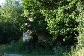 Cesta k vápence ( © Jiří Čížek 07/2006)