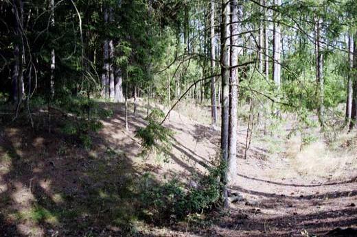 Šebíkov