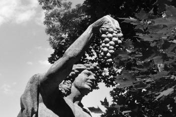  (© Václav Kapr, 06/2007)