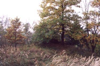 Šprymberk