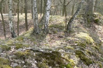 (© Prudký Martin, 04/2010)