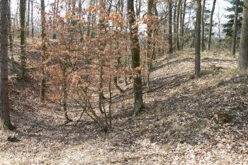 Příkop před prvním předhradím-vpravo val (© Prudký Martin, 04/2010)
