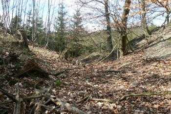 Příkop mezi předhradími (© Prudký Martin, 04/2010)