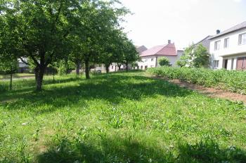 jz.hrana tvrziště,plot vlevo kopíruje jz.příkop (© D Dohňanský, 06/2015)