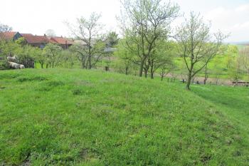 sev.část tvrziště (© D Dohňanský, 05/2017)