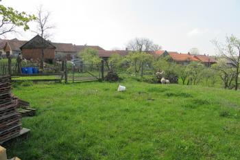 pohled od sv. na centrální plato (© D Dohňanský, 05/2017)