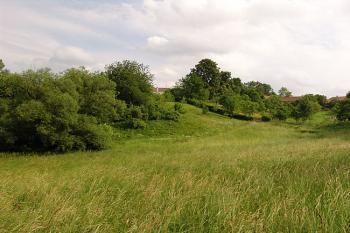 Hřibův kopec, pohled od severozápadu ( © Roman Řezáč 06/2006)