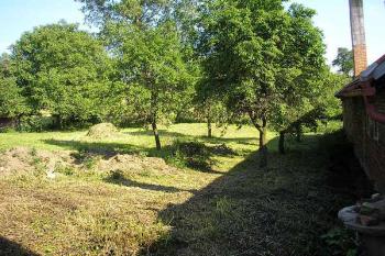 za stromky vykukuje zbyteček pahorku tvrze ( © Ondřej Štěpánek 06/2006)