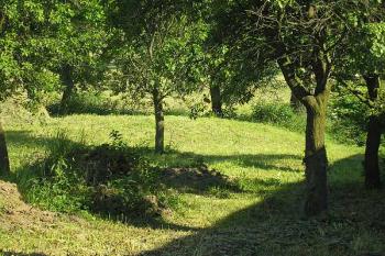 pohled na sotva znatelný kopeček tvrziště ( © Ondřej Štěpánek 06/2006)