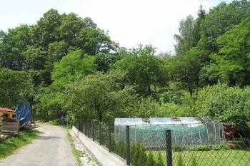 Pohled od vývhodu na zalesněný pahorek hradu (© Jan P. Štěpánek 06/2006)