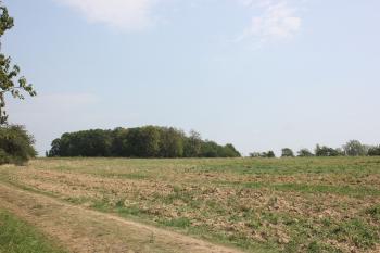 polní opevnění Švédské šance (© Luděk Vláčil 08/2017)
