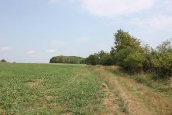 lokalita polního opevnění Švédské šance (© Luděk Vláčil 08/2017)