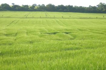 krajina okolo Štulbachu, stávala zaniklá vesnice zde? ( © Ondřej Štěpánek 06/2006)