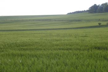 krajina okolo Štulbachu, stávala zaniklá vesnice zde? ( © Ondřej Štěpánek 06/2006)