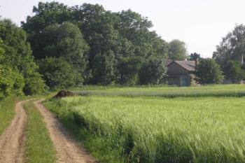polní cesta ke Štulbachu ( © Ondřej Štěpánek 06/2006)