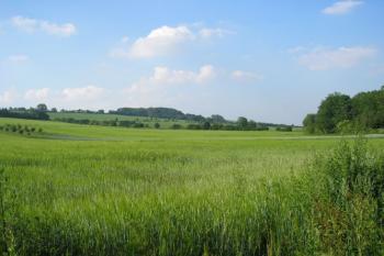 pohled na vrch Švédské šance (švédský vojenský tábor ze 17. stol.) od Štulbachu ( © Ondřej Štěpánek 06/2006)