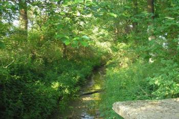 bývalý mlýnský náhon ( © Ondřej Štěpánek 08/2006)