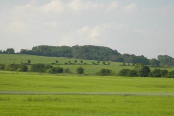 zalesněný vrch Švédské šance (vojenský tábor z roku 1643 ) od Štulbachu ( © Ondřej Štěpánek 08/2006)