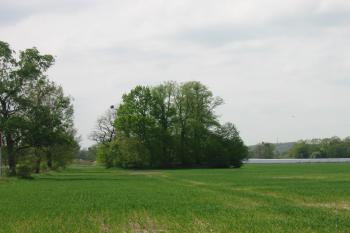 pohled od východu (© D Dohňanský, 05/2015)