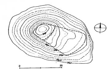 polohopis a výškopis tvrziště ( © J. Peška, Miroslav Plaček: Opevněná středověká sídla šlechty - nové a revidované lokality (in Přehled výzkumů 44, Arch. ústav Brno, 2002))