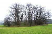 Hustopeče nad Bečvou