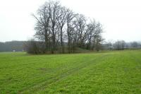 Hustopeče nad Bečvou