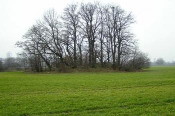 Pohled na tvrziště od severu ( © Jan P. Štěpánek 03/2007)