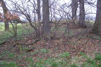 Nejvyšší pahorek tvrziště od jihovýchodu ( © Jan P. Štěpánek 03/2007)