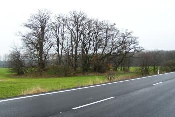 Pohled na pahorek bývalé tvrze z tělesa silnice Valašské Meziříčí - Hustopeče ( © Jan P. Štěpánek 03/2007)