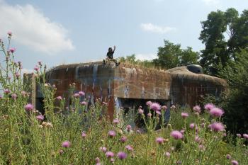  (© Rodochrozit, 07/2010)