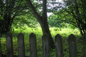 srovnané tvrziště ( © Ondřej Štěpánek 07/2006)