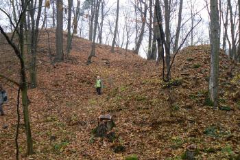 Těleso štítové hradby (vpravo) (© Prudký Martin, 11/2008)