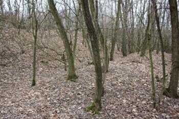 Vnější val a příkop (© Luděk Vláčil 02/2017)