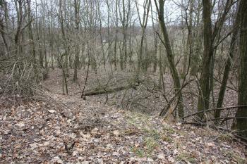 Pohled z vnitřního valu přes příkop (© Luděk Vláčil 02/2017)