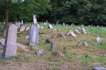 Náhrobky židovského hřbitova v Šafově (© Michal Kiesel 07/2006)