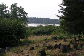 Náhrobky židovského hřbitova v Šafově (© Michal Kiesel 07/2006)