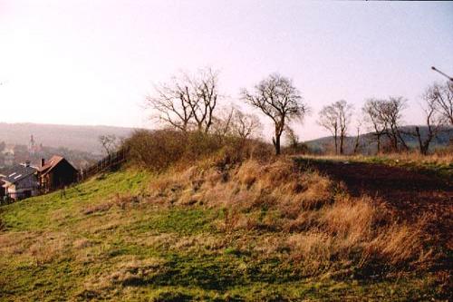 Vinařice
