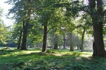 Zámecký park (© Petr Chaloupka, 05/2014)
