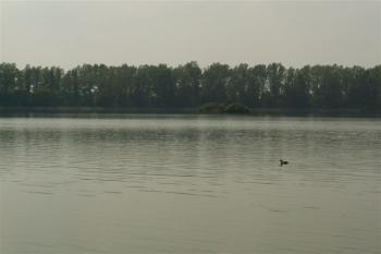  (© Lukáš Janeček, 07/2006)