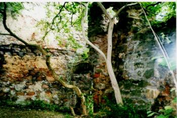  (© Prudký Martin, 05/2000)