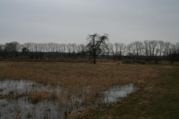 Nepatrná sníženina příkopu ( © Petr Nožička 02/2011)