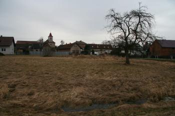 Pohled na tvrziště ( © Petr Nožička 02/2011)