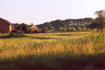 Tvrziště v Ohnišťanech (© Marek Skýpala 07/2006)