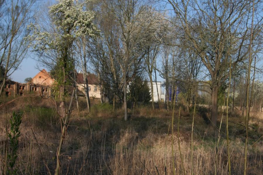 Klučov