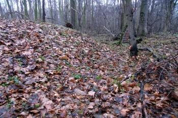  ( © Jiří Čížek 12/2007)
