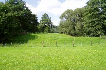 tvrziště od jihovýchodu (© Lukáš Pechánek, 08/2011)